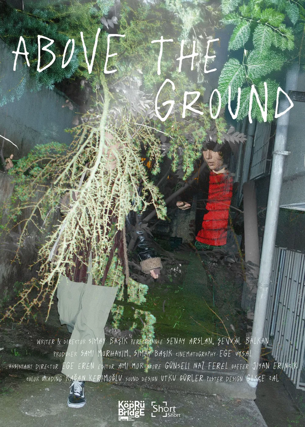 Pôster de Above the Ground