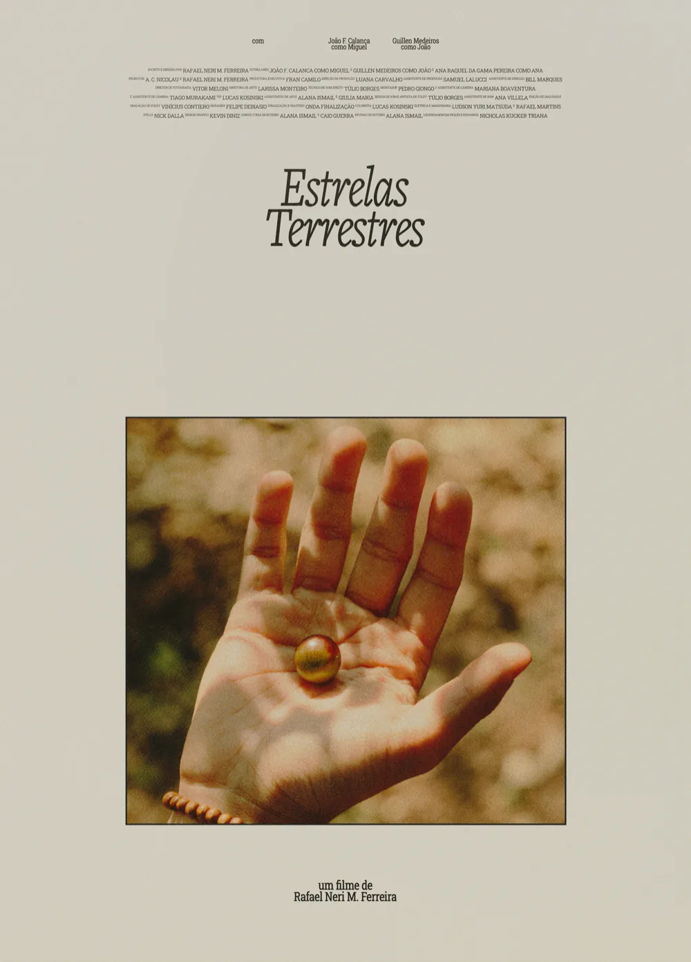 Pôster de Estrelas terrestres